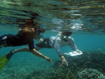 Reef Check team members inspect health of reef ecosystem surrounding Réunion Island.