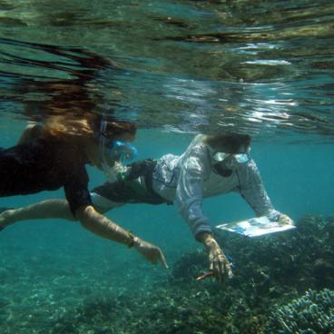 Reef Check team members inspect health of reef ecosystem surrounding Réunion Island.